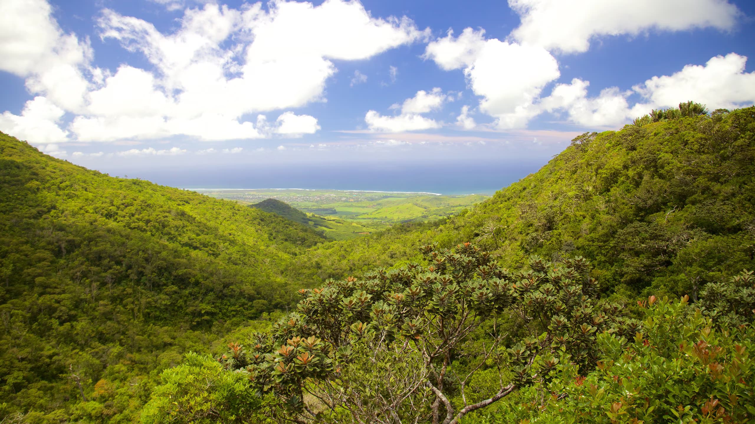 Black River Gorges National Park